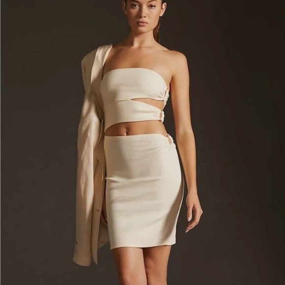 New with tags, medium, anthropology Bordeaux dress - Picture 4 of 10